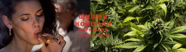 твердый Богородск