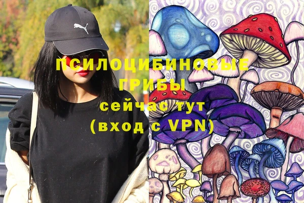 мдма Богданович