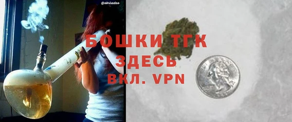 твердый Богородск