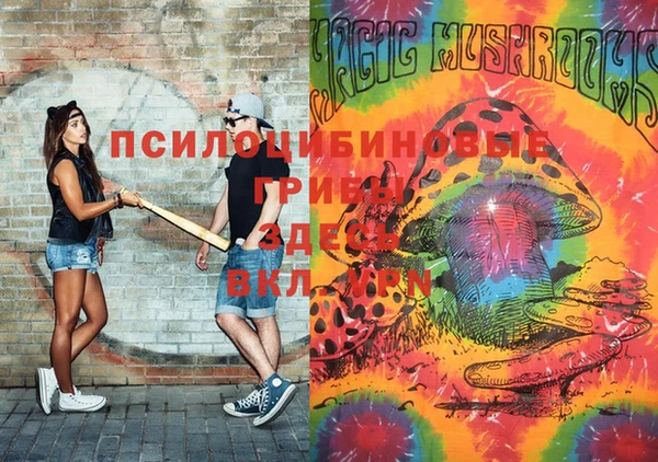 мдма Богданович