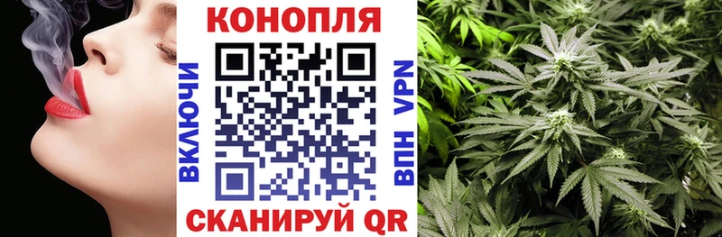 Шишки марихуана Amnesia  цены   Шахунья 